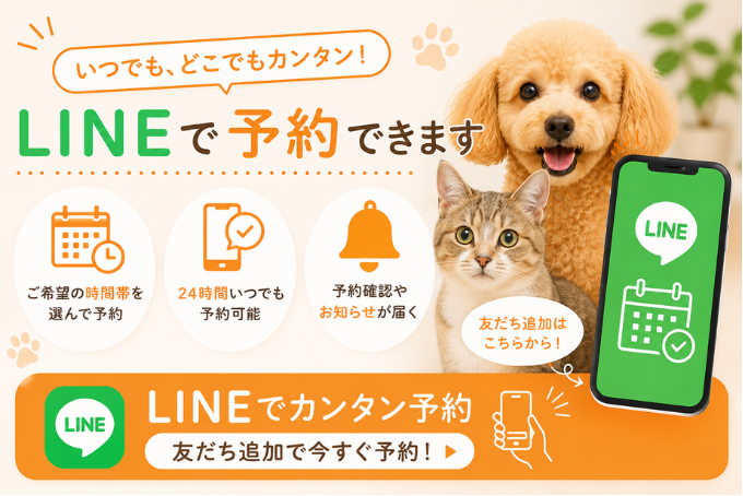 https://wonder-cloud.jp/hospitals/aihoku-ah_konan/reservations
