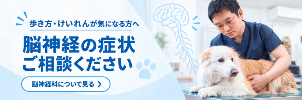 脳神経科について見る